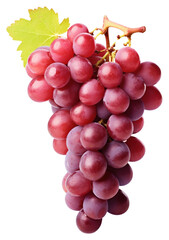 PNG Grapes bunch fruit plant food.