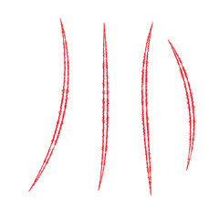 Bear paw claw marks, scratches of animal attack