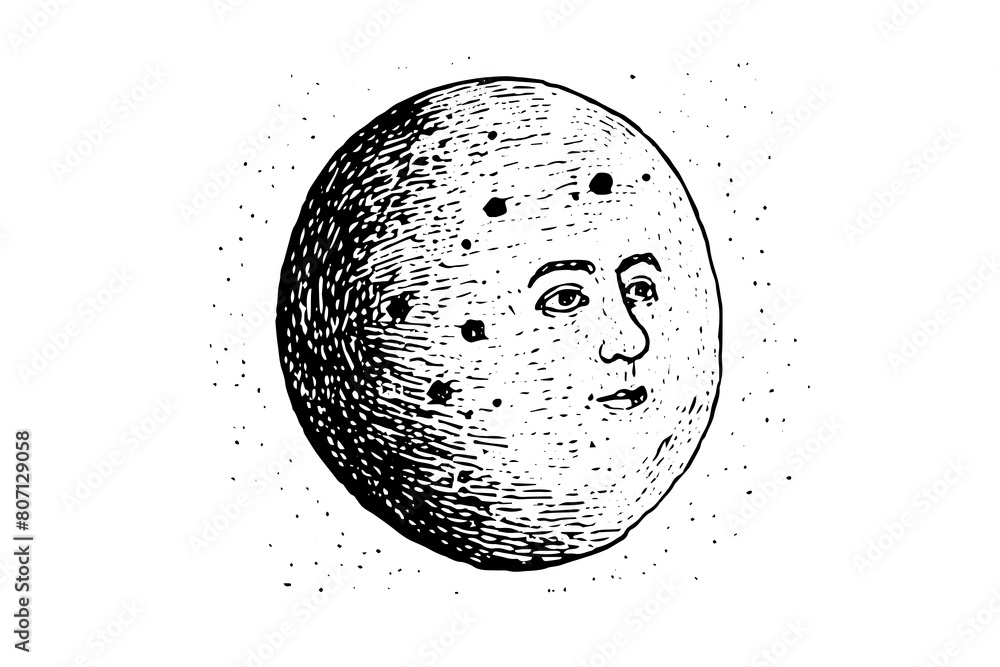 Wall mural vintage moon face vector: engraved celestial sketch of the mystic night.