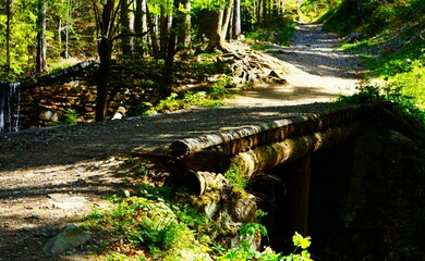 Drewniany most w górach, gęsty las i ścieżka biegnąca w górę, Czechy, Jeseniky