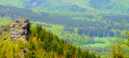Panorama na skałę, gęsty las sosnowy i góry, Jeseniky, Czechy