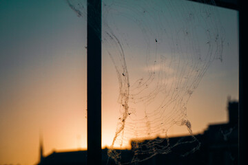 Close up of spider web against the sky