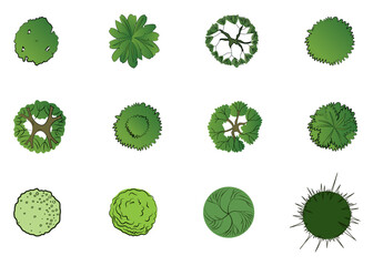 Various green trees, bushes and shrubs, top view for landscape design plan. Vector illustration, isolated on white background. Elemetns for designers. Eps 10. Big set
