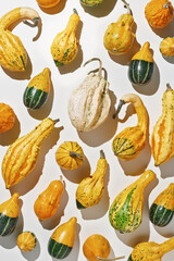 Decorative ornamental pumpkins on white background. Cozy still life, autumn or fall holiday or...