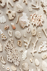 Sea shells, corals, sea stones with sun shadow at sunlight, nature photo of white shell and coral pieces scattered on light beige concrete, minimal monochrome vertical pattern, neutral pastel tones