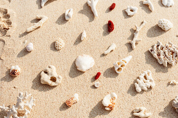 Creative pattern with Seashells and corals on sandy beach at sunlight. Summer vacation concept, beach mood. Nautical Top view minimal aesthetics still life composition on ocean shore. Nature color