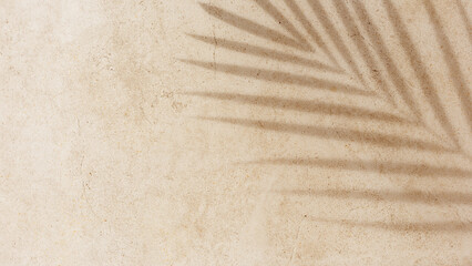 Natural palm leaf shadow on light beige sandy color background, banner copyspace. Summer minimal...