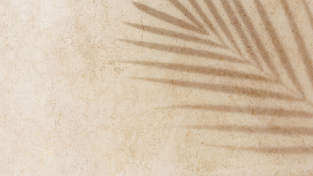 Natural palm leaf shadow on light beige sandy color background, banner copyspace. Summer minimal concept, daylight in sunny day, top view plant sun shade, nature environment pattern, neutral tone