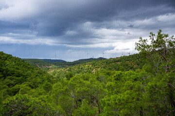 Obraz premium Wind Power Generation in the Hills of Izmir, Turkey