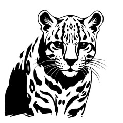 illustration of a tiger