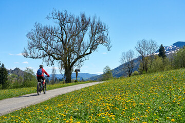 active senior woman riding her electric mountain bike on a sunny day in  spring with Dandelion...