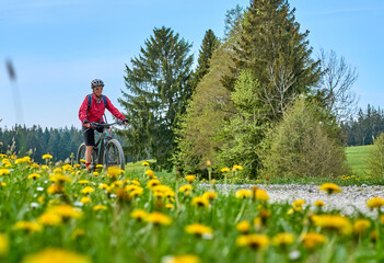 pretty senior woman riding her electric mountain bike in  springtime in the Allgau mountains near...