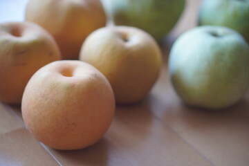 梨狩りで収穫した大きくて立派な梨
