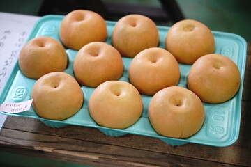 ギフト用の梨の詰め合わせ10個入り