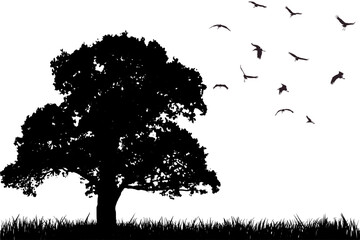 tree silhouette with birds flying
