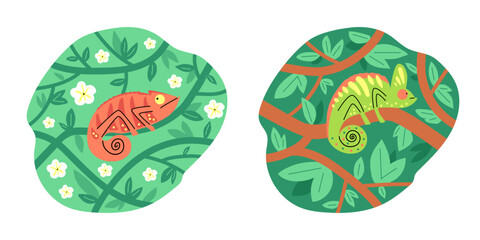 Chameleons in nature vector illustration set