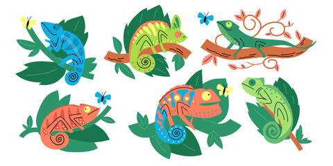 Colorful chameleons and butterflies vector set
