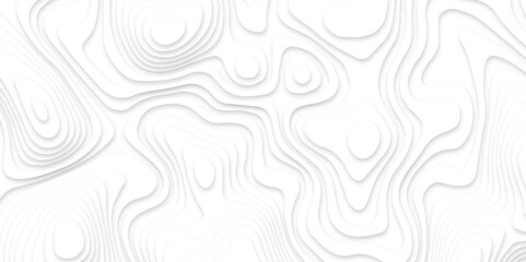 Abstract white paper cut background with line. 3d topography relief. Vector topographic illustration. realistic papercut decoration textured with wavy layer and shadow. seamless pattern wave design.