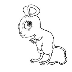 black and white angry cute mouse animal 