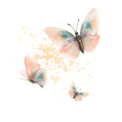 Flying butterflies, delicate, elegant in peach fuzz and turquoise color. Realistic hand-drawn watercolor illustration. Composition isolated from the background. For Women's Day, Mother's Day, Birthday
