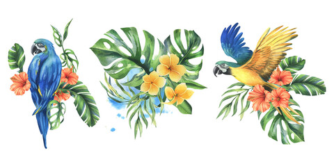 Tropical palm leaves, monstera and flowers of plumeria, hibiscus, bright juicy with blue-yellow macaw parrot. Hand drawn watercolor botanical illustration. Set of elements isolated from background © NATASHA-CHU