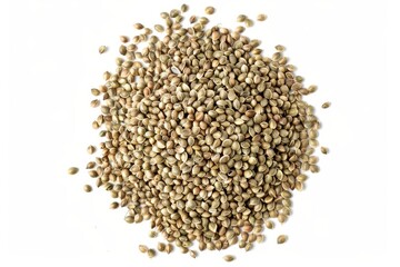 Top view of isolated hemp seeds in round frame on white background