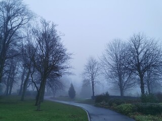 Park in a misty morning