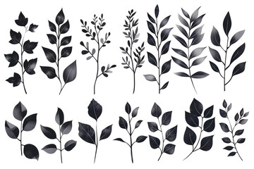 A set of black and white botanical illustrations.