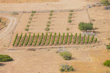 Wakacyjny rejs po wodach Adriatyku, u wybrzeży słonecznej Chorwacji © Marcin