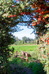 Agricultural machine ready to plow the field