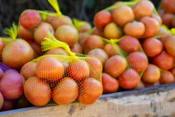 red tomatoes in yellow nets