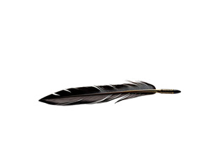 a black feather with gold accents