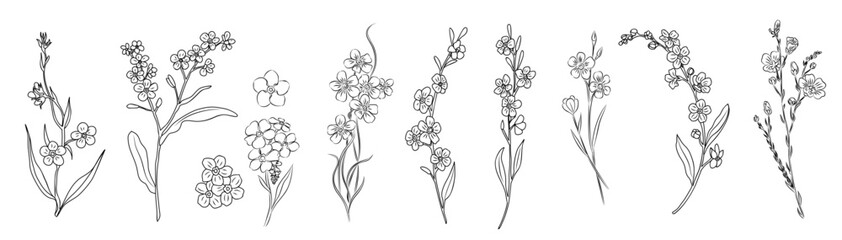 Set of Forget me not flower line art vector illustrations. Myosotis monochrome hand drawn black ink sketch on transparent background. Modern minimalist design for tattoo, jewelry, logo, packaging.