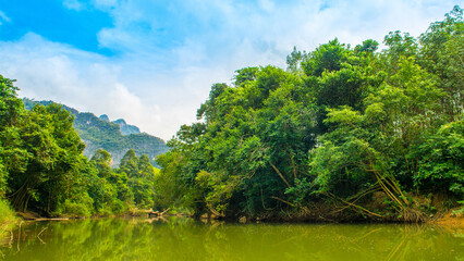 Tropical landscape of a jungle in Thailand