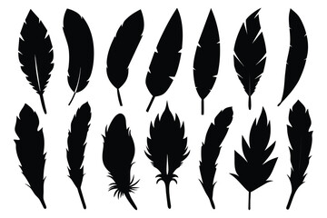 Set of bird feather black Silhouette Design with white Background and Vector Illustration
