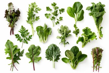 Fototapeta premium Assortment of green veggies on white backdrop