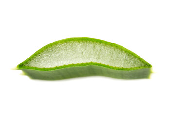 Aloe vera slice