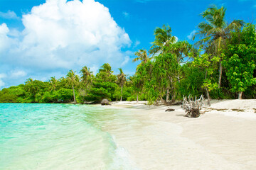 Beautiful sandy beach in uninhabited island