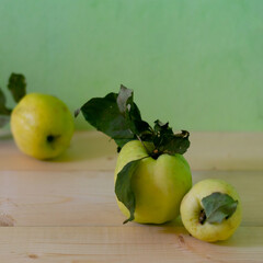 Square format composition with green apples called Antonovka. Early-winter sort of garden apples