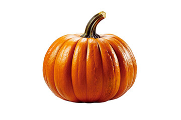 Pumpkin (PNG 10800x7200)