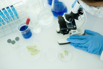 Fototapeta premium Medical or scientific researcher or man doctor looking at a test tube of clear solution in a laboratory