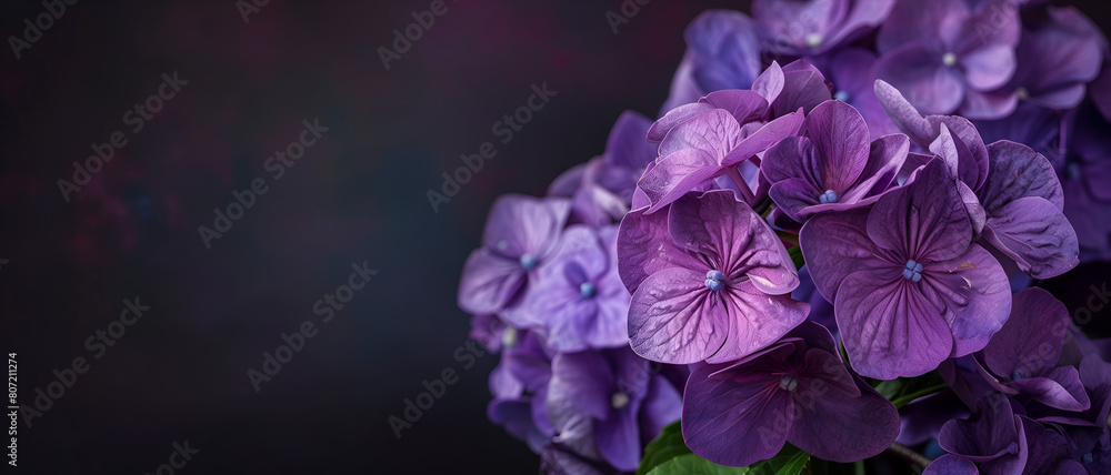 Poster violet flower background with vibrant color