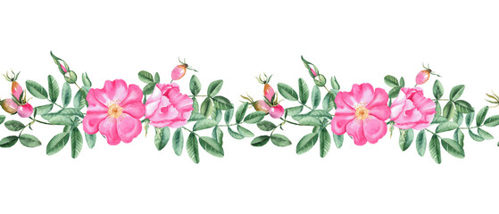 Dog rose horizontal watercolor seamless border pattern. Hand drawn botanical illustration. Rose hip flowers, branches and berries. Can be used for fabric, textile, packaging prints, wallpaper design.