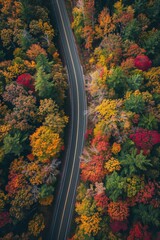 Obraz premium Aerial top view of an asphalt road going through an autumn forest 