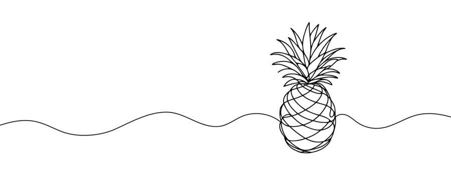one continuous drawn line of pineapple drawn from the hand a picture of the silhouette. Line art. tropical fruit pineapple. - Powered by Adobe