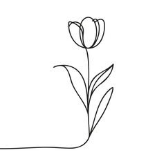The tulip is drawn in one continuous line