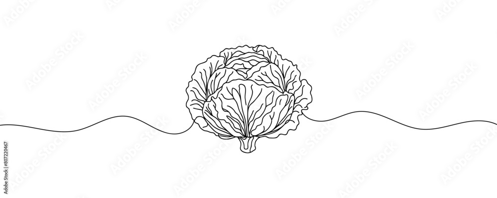 Wall mural head lettuce in continuous line art drawing style. iceberg or crisphead lettuce design isolated on w - Wall murals