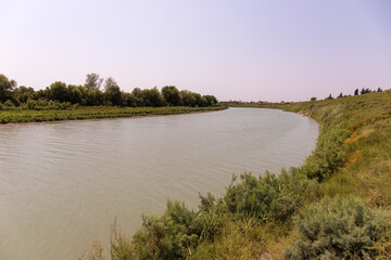 Muddy river Kura. Neftchala. Azerbaijan. - obrazy, fototapety, plakaty
