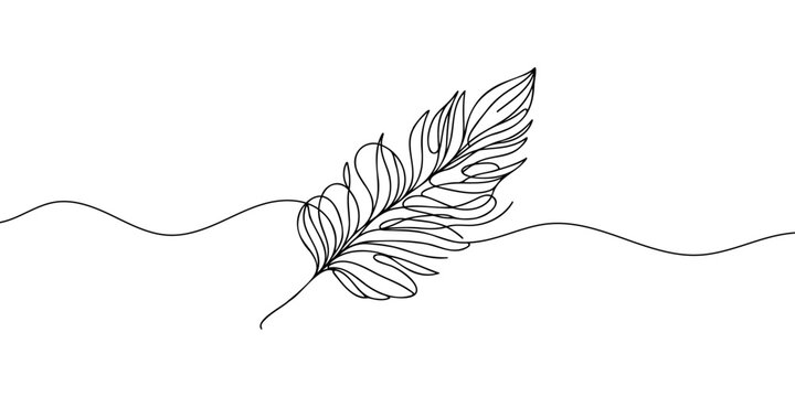 recommend clip art: Continuous hand drawn for bird feather on white background. Abstract vector illustration. Vector