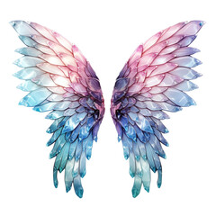 Fairy Wings isolated on transparent background